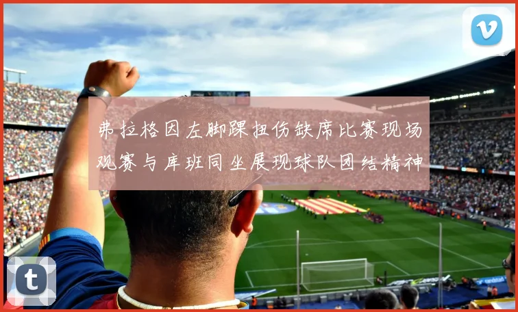 弗拉格因左脚踝扭伤缺席比赛现场观赛与库班同坐展现球队团结精神