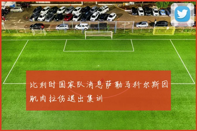 比利时国家队消息萨勒马科尔斯因肌肉拉伤退出集训
