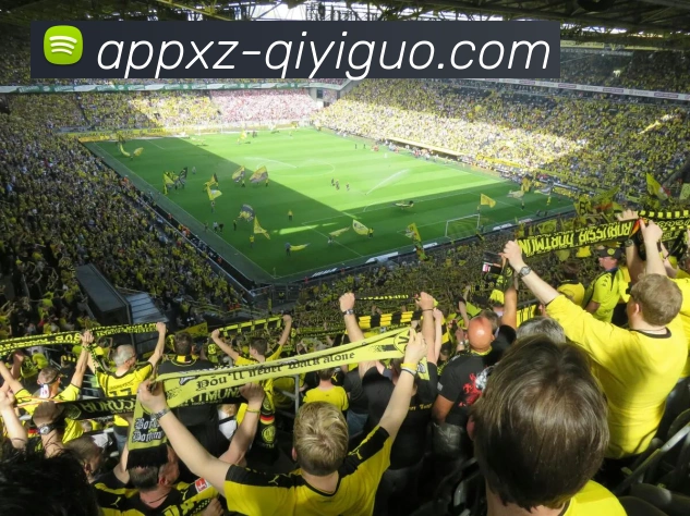 奇异果体育平台生态图